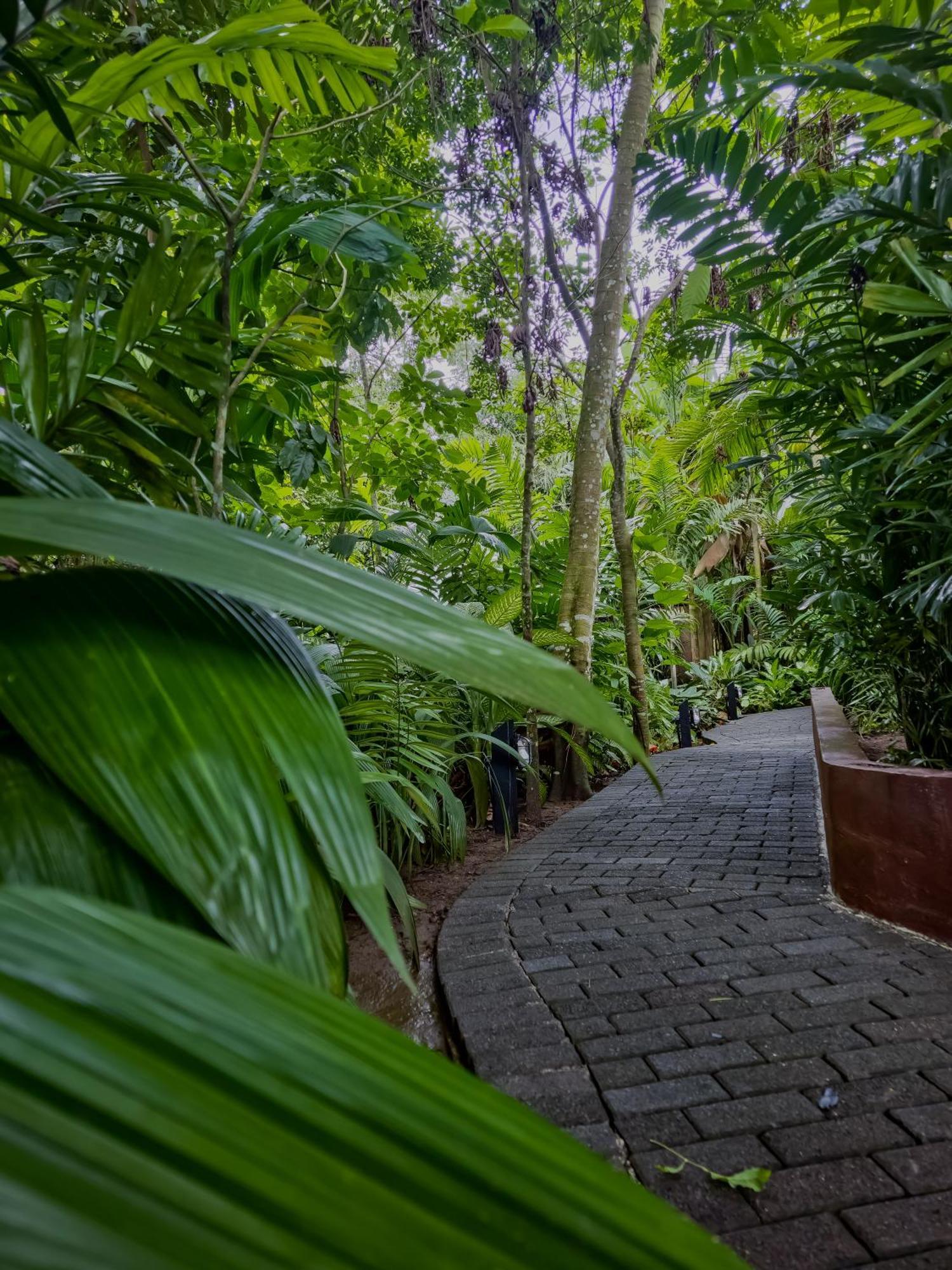 Secret Bungalows Lechu Chachagua Екстер'єр фото